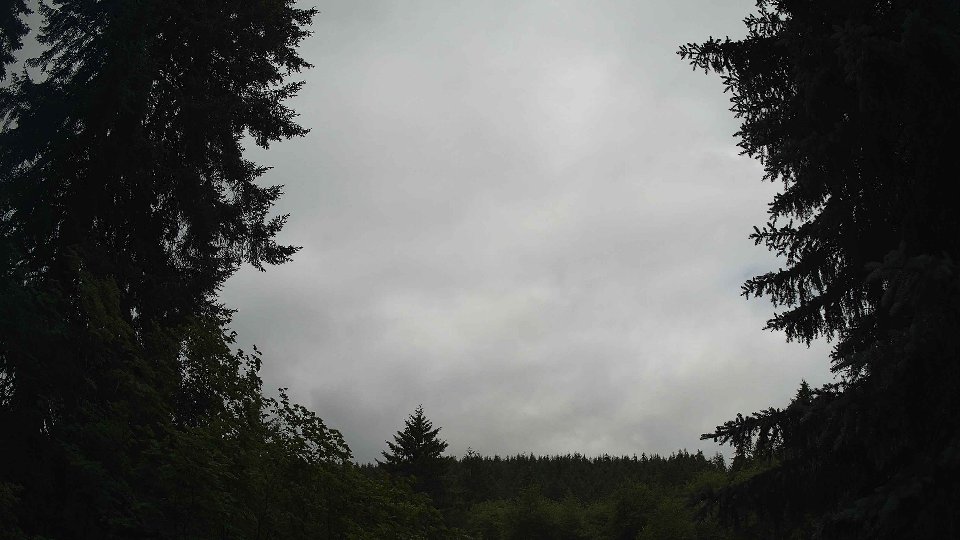 Pacific Northwest skyline timelapse on Jul 01, 2026 at 10:45 AM