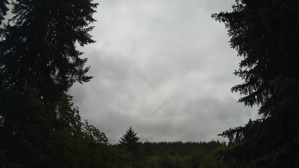 Pacific Northwest skyline timelapse on Jul 01, 2026 at 11:00 AM
