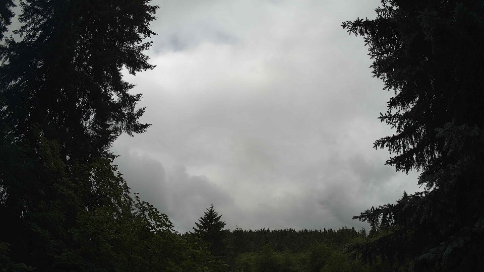 Pacific Northwest skyline timelapse on Jul 01, 2026 at 11:15 AM