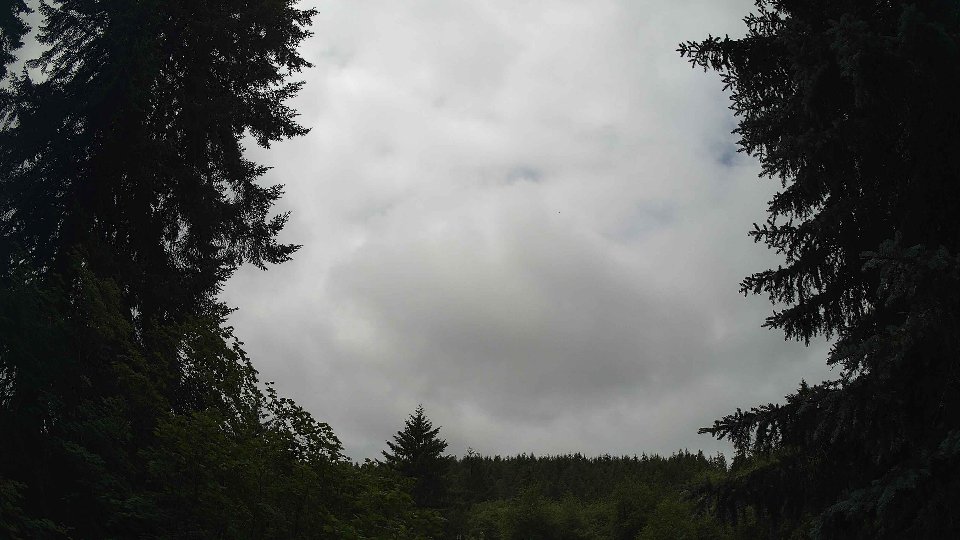 Pacific Northwest skyline timelapse on Jul 01, 2026 at 11:30 AM