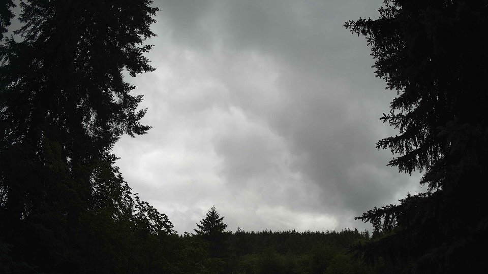 Pacific Northwest skyline timelapse on Jul 01, 2026 at 11:45 AM