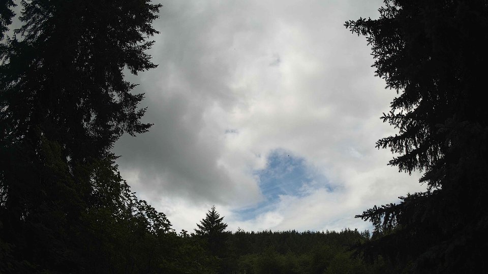 Pacific Northwest skyline timelapse on Jul 01, 2026 at 12:30 PM