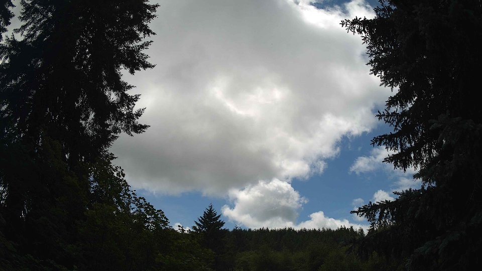 Pacific Northwest skyline timelapse on Jul 01, 2026 at 1:15 PM