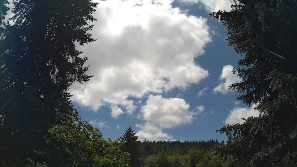 Pacific Northwest skyline timelapse on Jul 01, 2026 at 1:30 PM