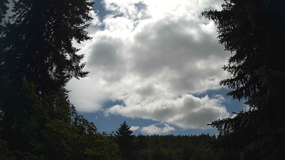 Pacific Northwest skyline timelapse on Jul 01, 2026 at 2:30 PM