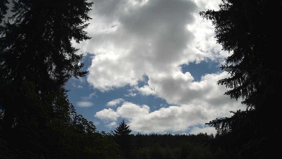 Pacific Northwest skyline timelapse on Jul 01, 2026 at 2:45 PM