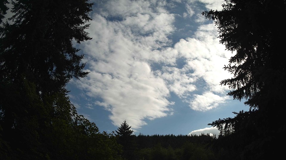 Pacific Northwest skyline timelapse on Jul 01, 2026 at 5:30 PM