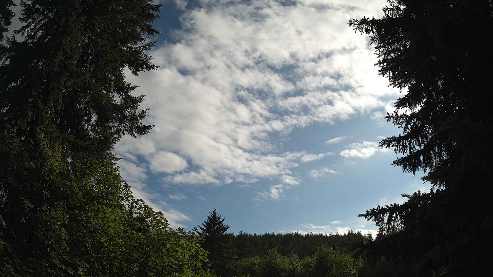 Pacific Northwest skyline timelapse on Jul 01, 2026 at 5:45 PM