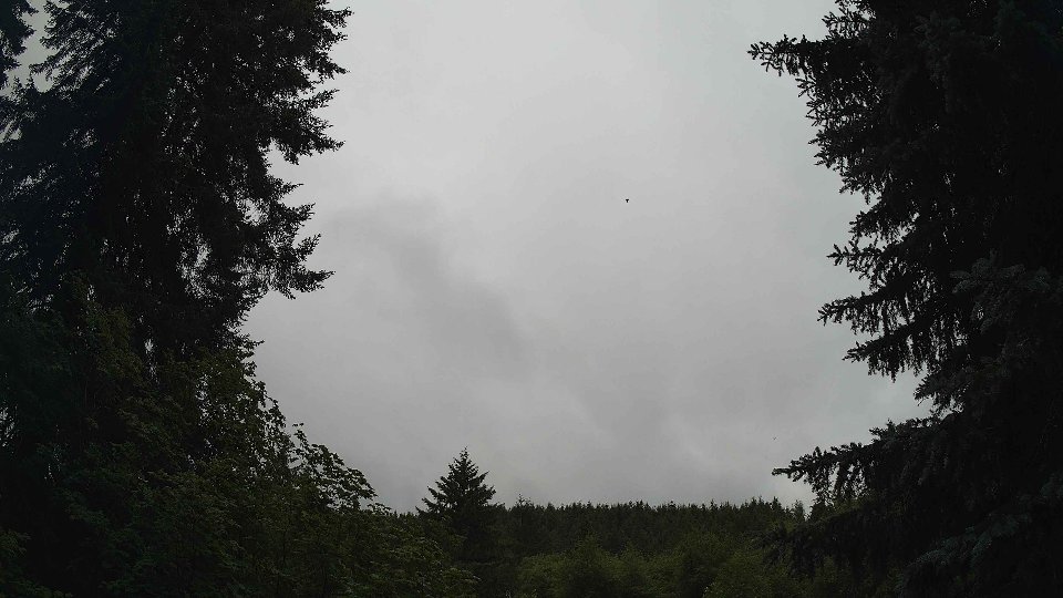 Pacific Northwest skyline timelapse frame from Jul 2nd, 2026 at 8:00 AM