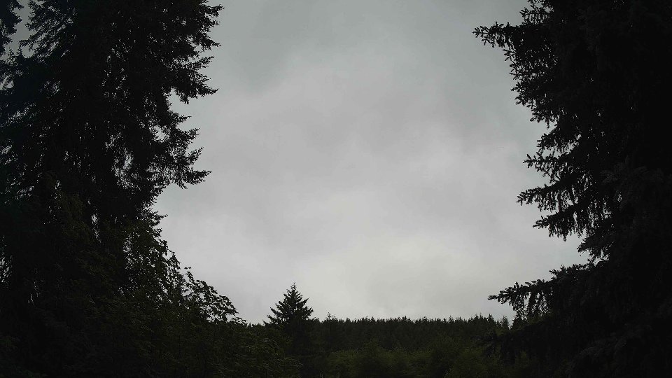 Pacific Northwest skyline timelapse frame from Jul 2nd, 2026 at 8:30 AM