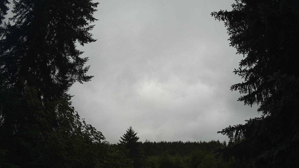 Pacific Northwest skyline timelapse frame from Jul 2nd, 2026 at 8:45 AM