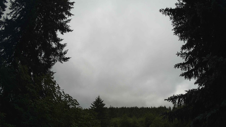 Pacific Northwest skyline timelapse frame from Jul 2nd, 2026 at 9:00 AM