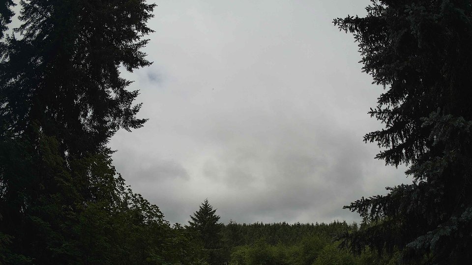 Pacific Northwest skyline timelapse frame from Jul 2nd, 2026 at 10:15 AM