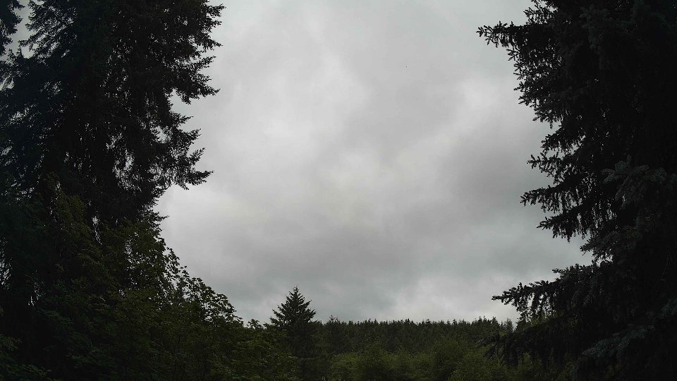 Pacific Northwest skyline timelapse frame from Jul 2nd, 2026 at 10:30 AM