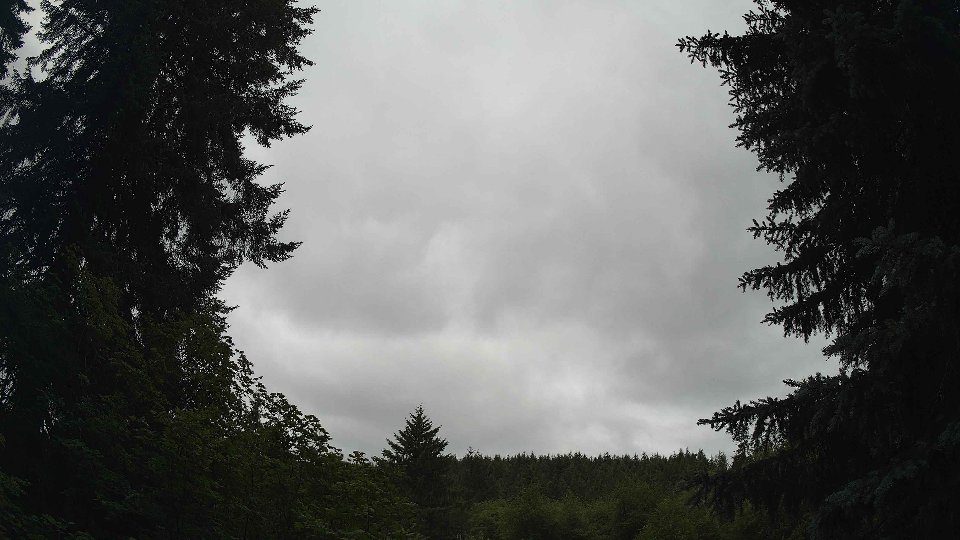 Pacific Northwest skyline timelapse frame from Jul 2nd, 2026 at 10:45 AM