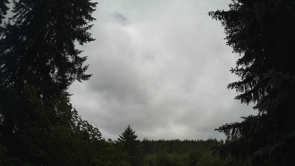 Pacific Northwest skyline timelapse frame from Jul 2nd, 2026 at 11:00 AM