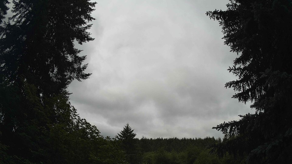Pacific Northwest skyline timelapse frame from Jul 2nd, 2026 at 11:15 AM