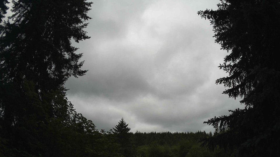 Pacific Northwest skyline timelapse frame from Jul 2nd, 2026 at 11:30 AM