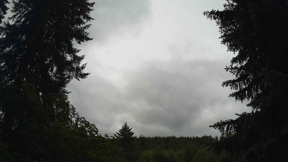 Pacific Northwest skyline timelapse frame from Jul 2nd, 2026 at 11:45 AM