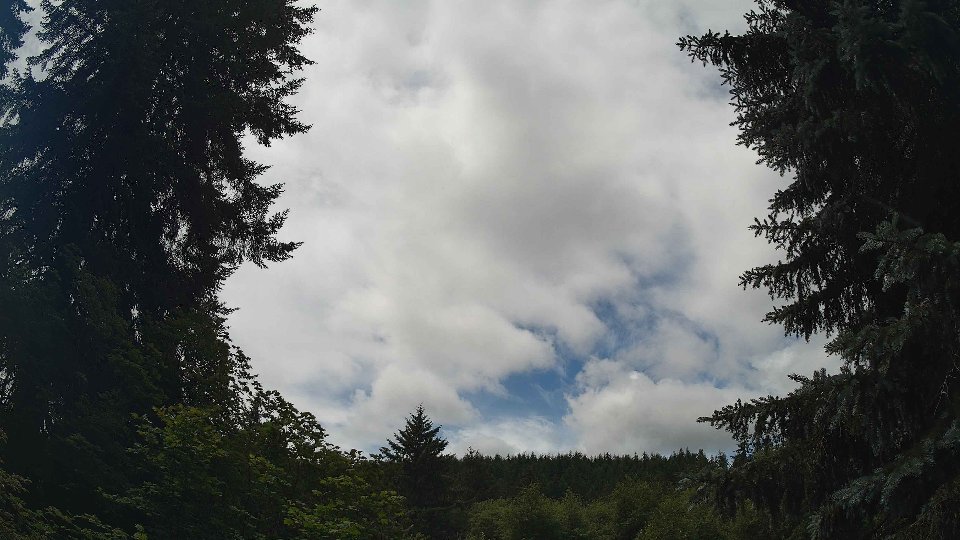 Pacific Northwest skyline timelapse frame from Jul 2nd, 2026 at 12:30 PM