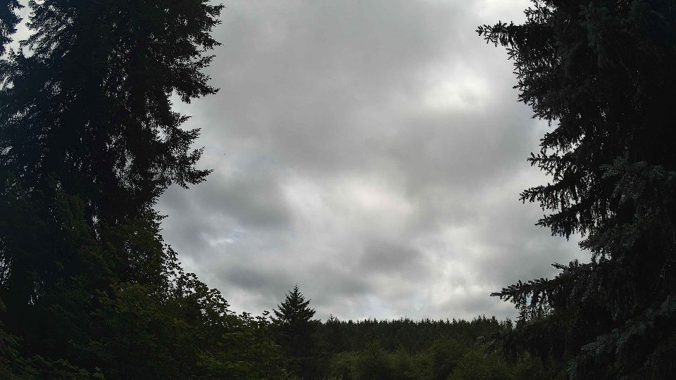 Pacific Northwest skyline timelapse frame from Jul 2nd, 2026 at 12:45 PM