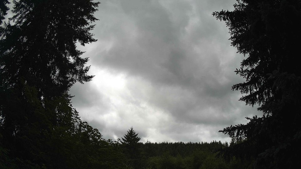 Pacific Northwest skyline timelapse frame from Jul 2nd, 2026 at 1:30 PM