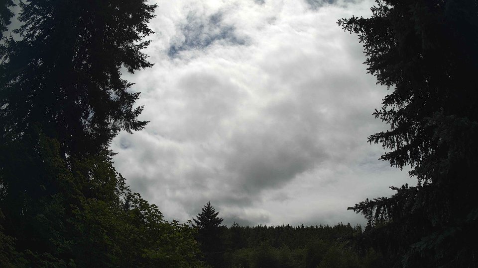 Pacific Northwest skyline timelapse frame from Jul 2nd, 2026 at 2:30 PM