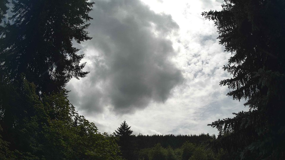Pacific Northwest skyline timelapse frame from Jul 2nd, 2026 at 2:45 PM