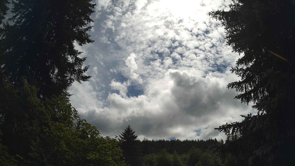 Pacific Northwest skyline timelapse frame from Jul 2nd, 2026 at 3:30 PM