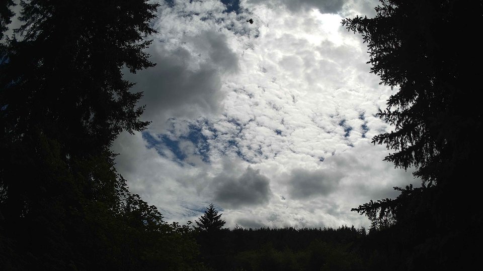 Pacific Northwest skyline timelapse frame from Jul 2nd, 2026 at 4:00 PM