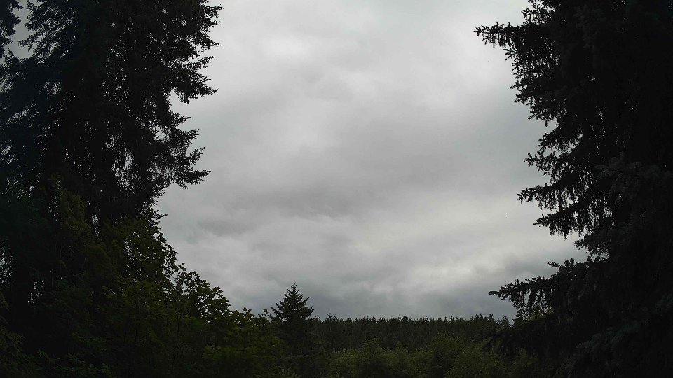 Pacific Northwest skyline timelapse frame from Jul 2nd, 2026 at 5:30 PM