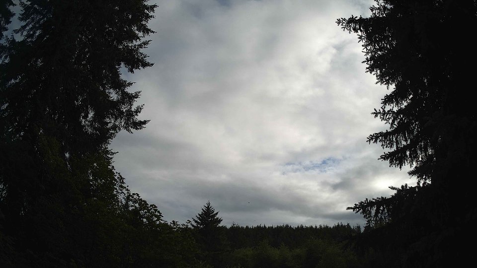 Pacific Northwest skyline timelapse frame from Jul 2nd, 2026 at 7:00 PM