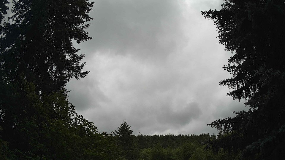 Pacific Northwest skyline timelapse frame from Jul 3rd, 2026 at 10:45 AM