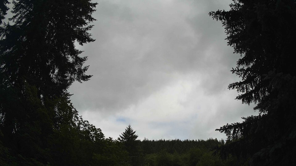 Pacific Northwest skyline timelapse frame from Jul 3rd, 2026 at 11:00 AM