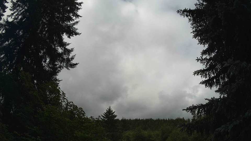 Pacific Northwest skyline timelapse frame from Jul 3rd, 2026 at 11:15 AM