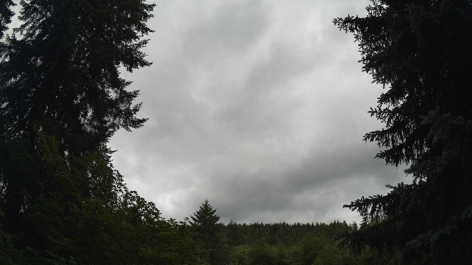 Pacific Northwest skyline timelapse frame from Jul 3rd, 2026 at 11:30 AM