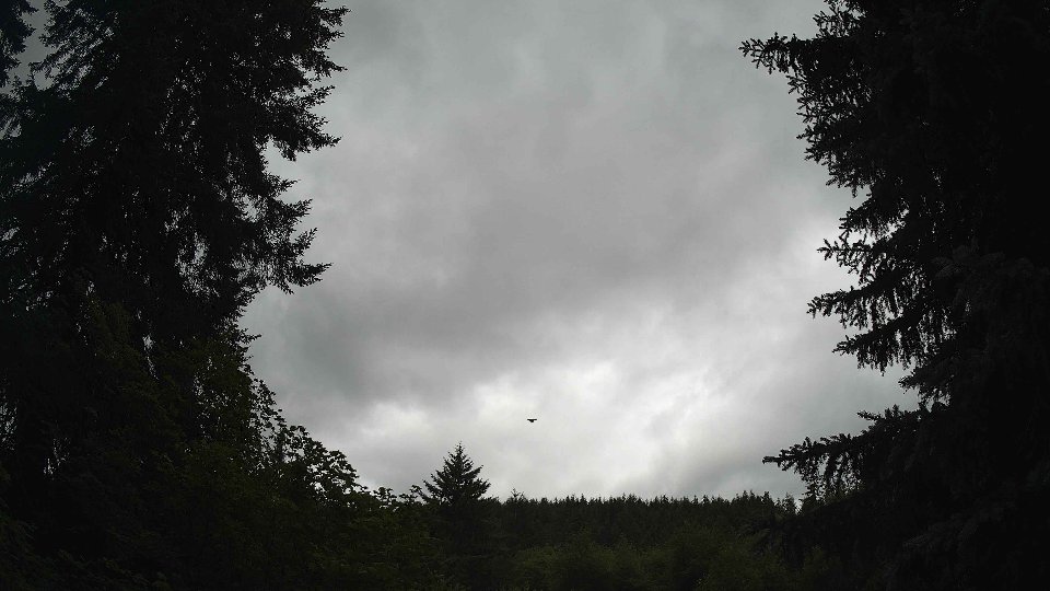 Pacific Northwest skyline timelapse frame from Jul 3rd, 2026 at 11:45 AM