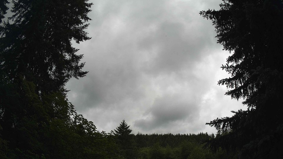 Pacific Northwest skyline timelapse frame from Jul 3rd, 2026 at 12:15 PM