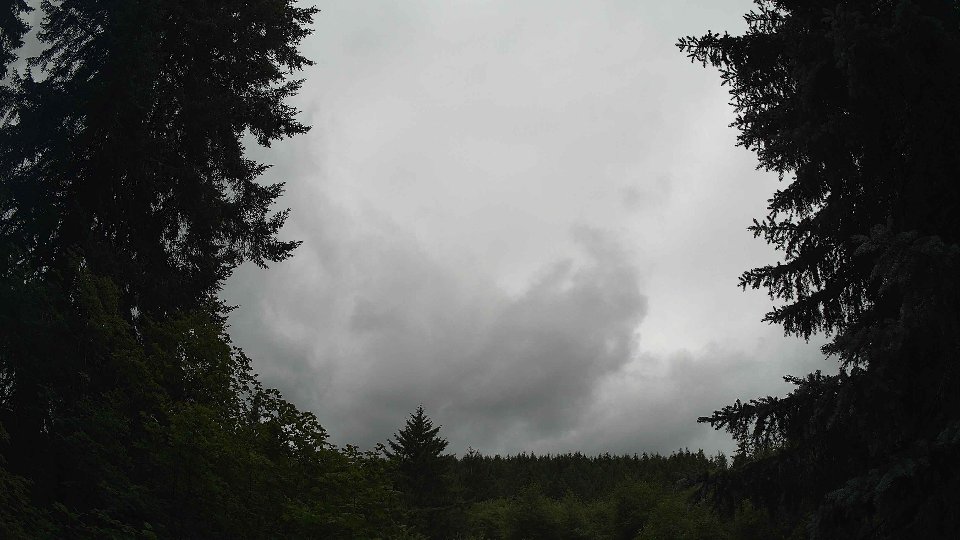 Pacific Northwest skyline timelapse frame from Jul 3rd, 2026 at 12:30 PM