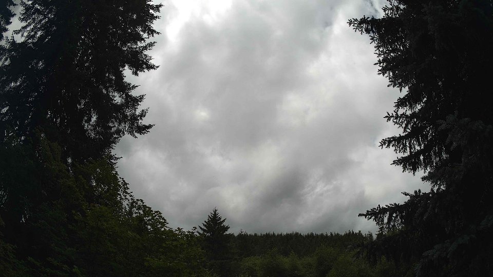 Pacific Northwest skyline timelapse frame from Jul 3rd, 2026 at 1:30 PM
