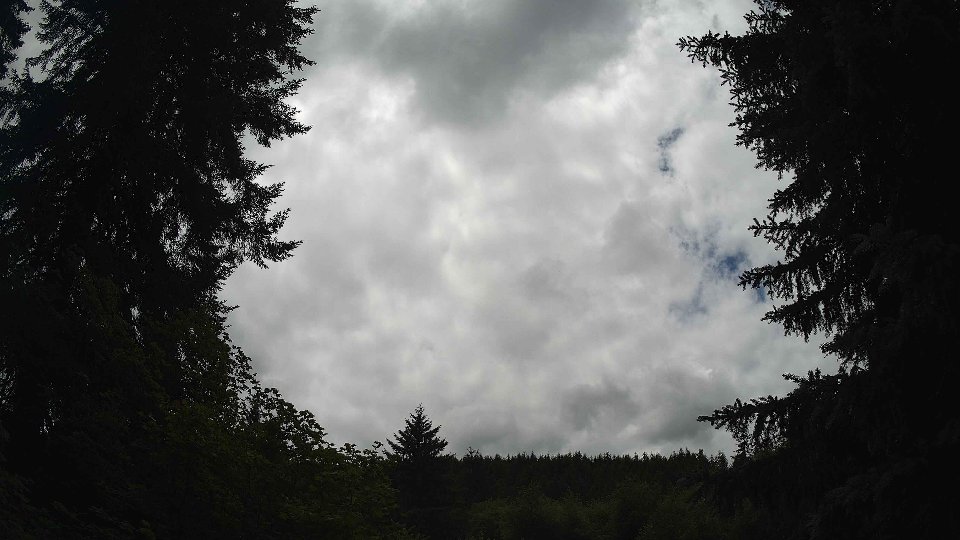 Pacific Northwest skyline timelapse frame from Jul 3rd, 2026 at 2:00 PM