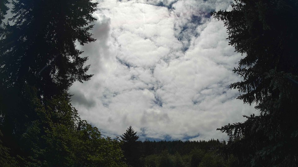 Pacific Northwest skyline timelapse frame from Jul 3rd, 2026 at 2:30 PM