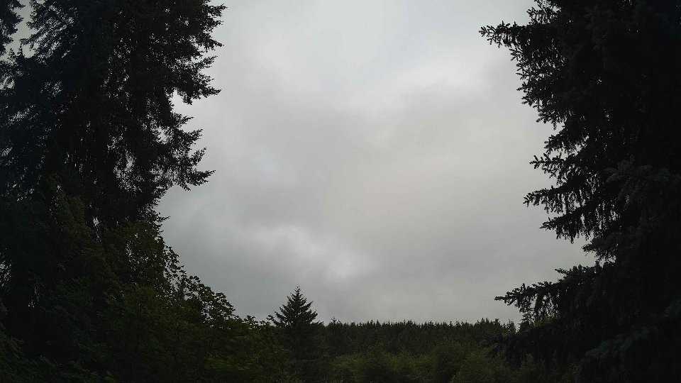 Pacific Northwest skyline timelapse frame from Jul 4th, 2026 at 8:30 AM