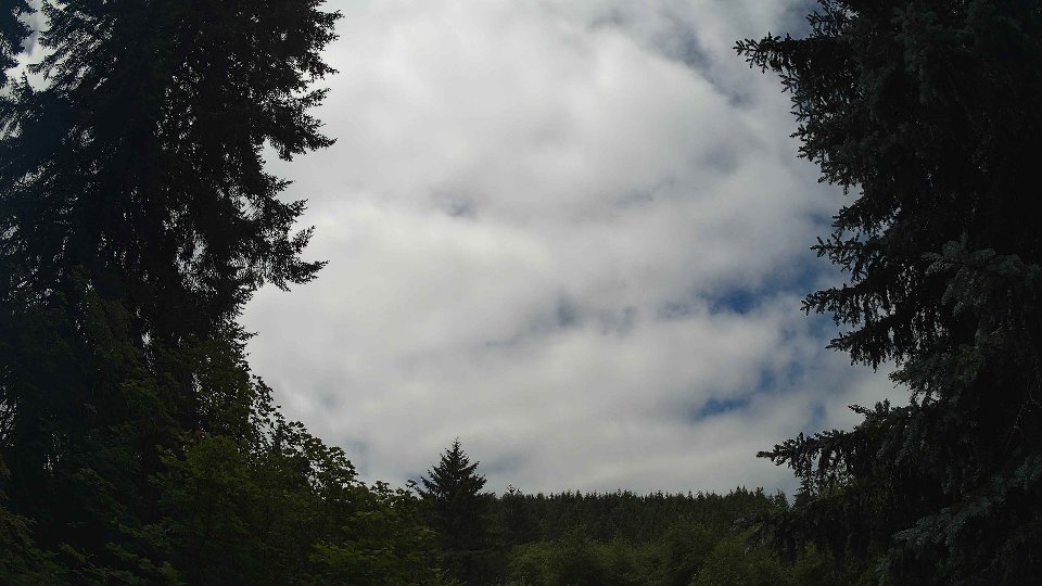 Pacific Northwest skyline timelapse frame from Jul 4th, 2026 at 12:15 PM