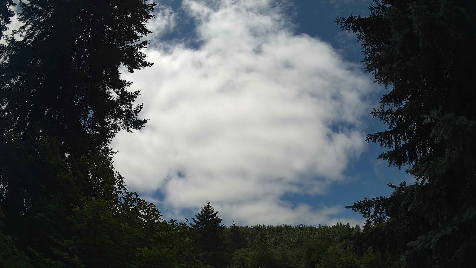 Pacific Northwest skyline timelapse frame from Jul 4th, 2026 at 12:30 PM