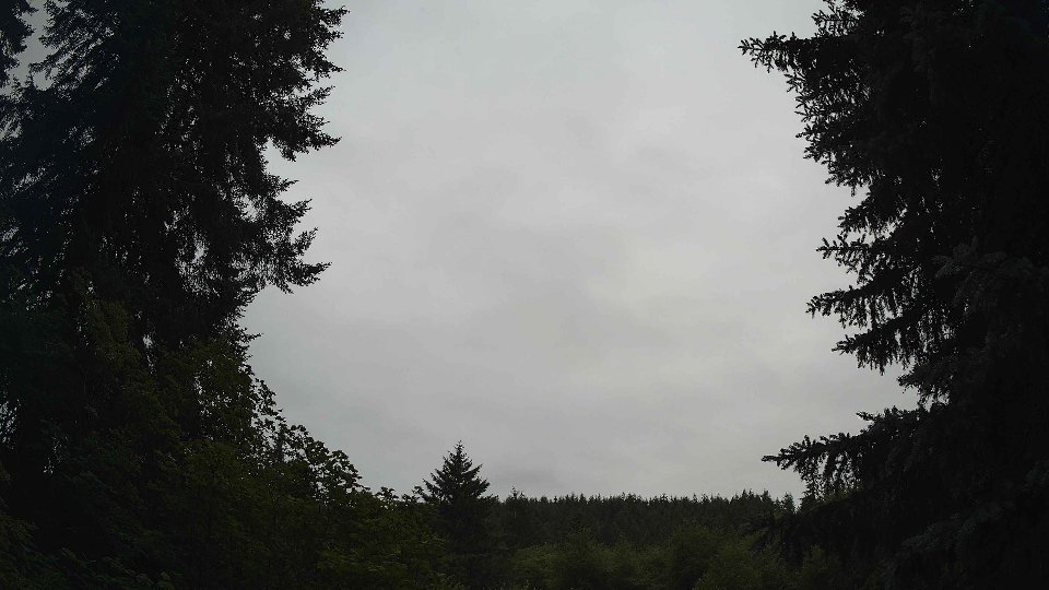 Pacific Northwest skyline timelapse frame from Jul 5th, 2026 at 8:00 AM