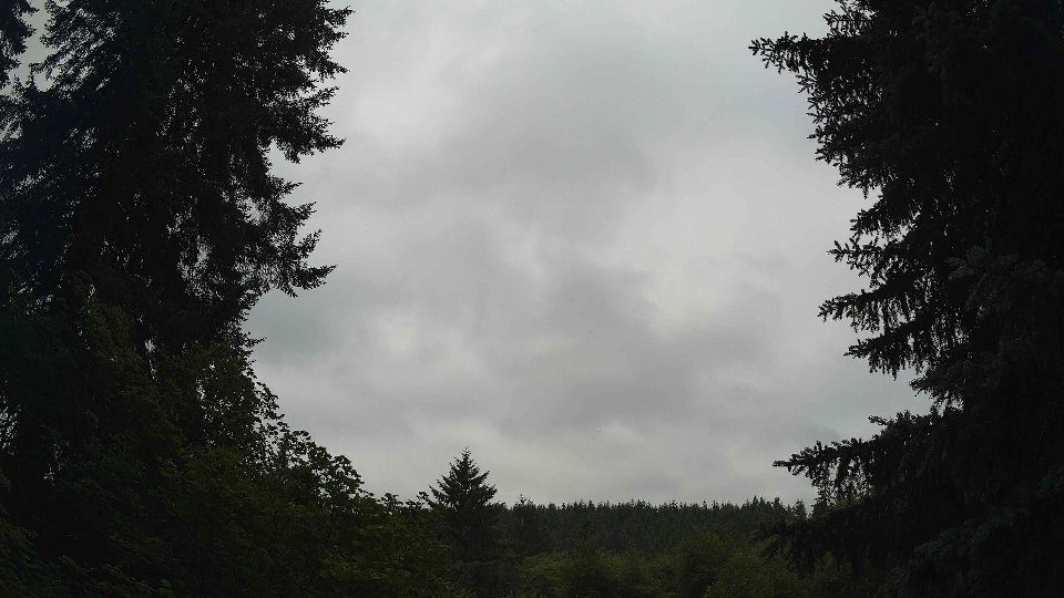 Pacific Northwest skyline timelapse frame from Jul 5th, 2026 at 10:00 AM
