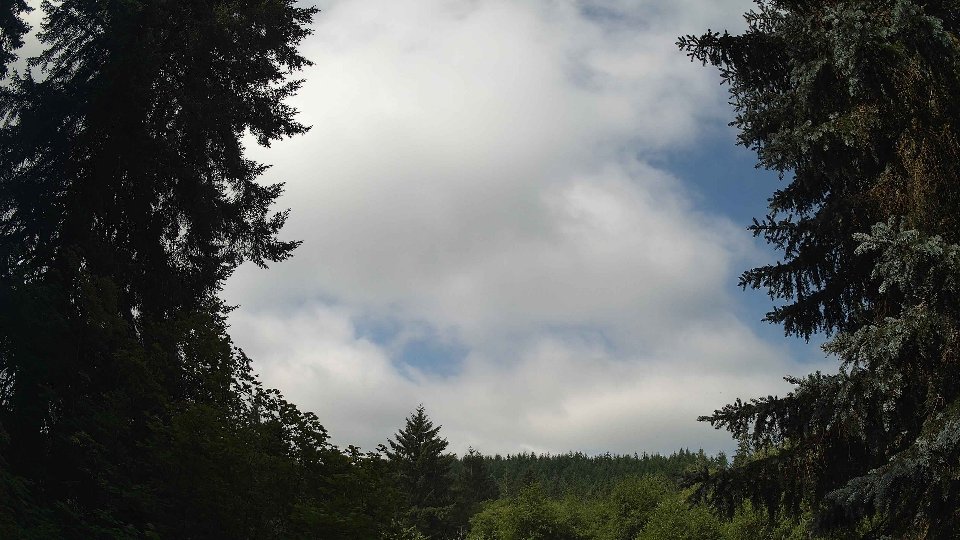 Pacific Northwest skyline timelapse frame from Jul 5th, 2026 at 10:15 AM