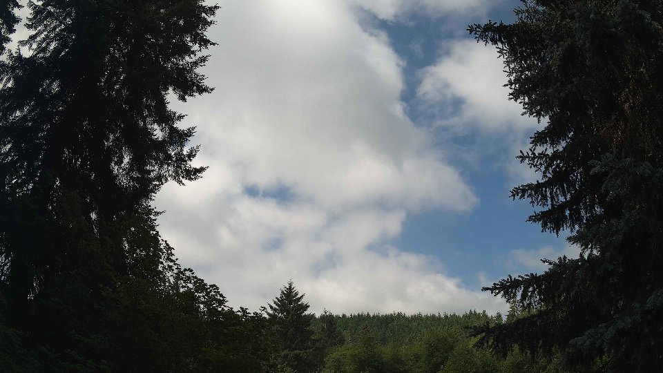 Pacific Northwest skyline timelapse frame from Jul 5th, 2026 at 10:30 AM
