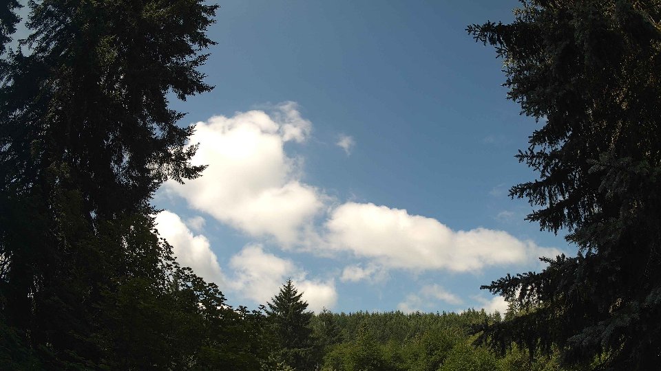 Pacific Northwest skyline timelapse frame from Jul 5th, 2026 at 11:00 AM